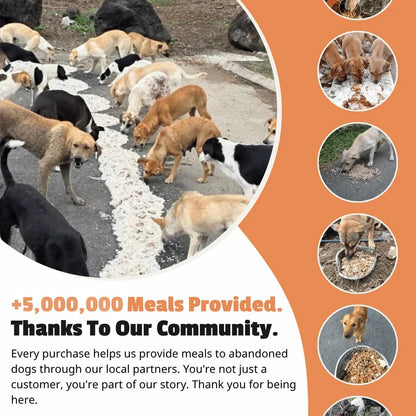 Pure Necklace