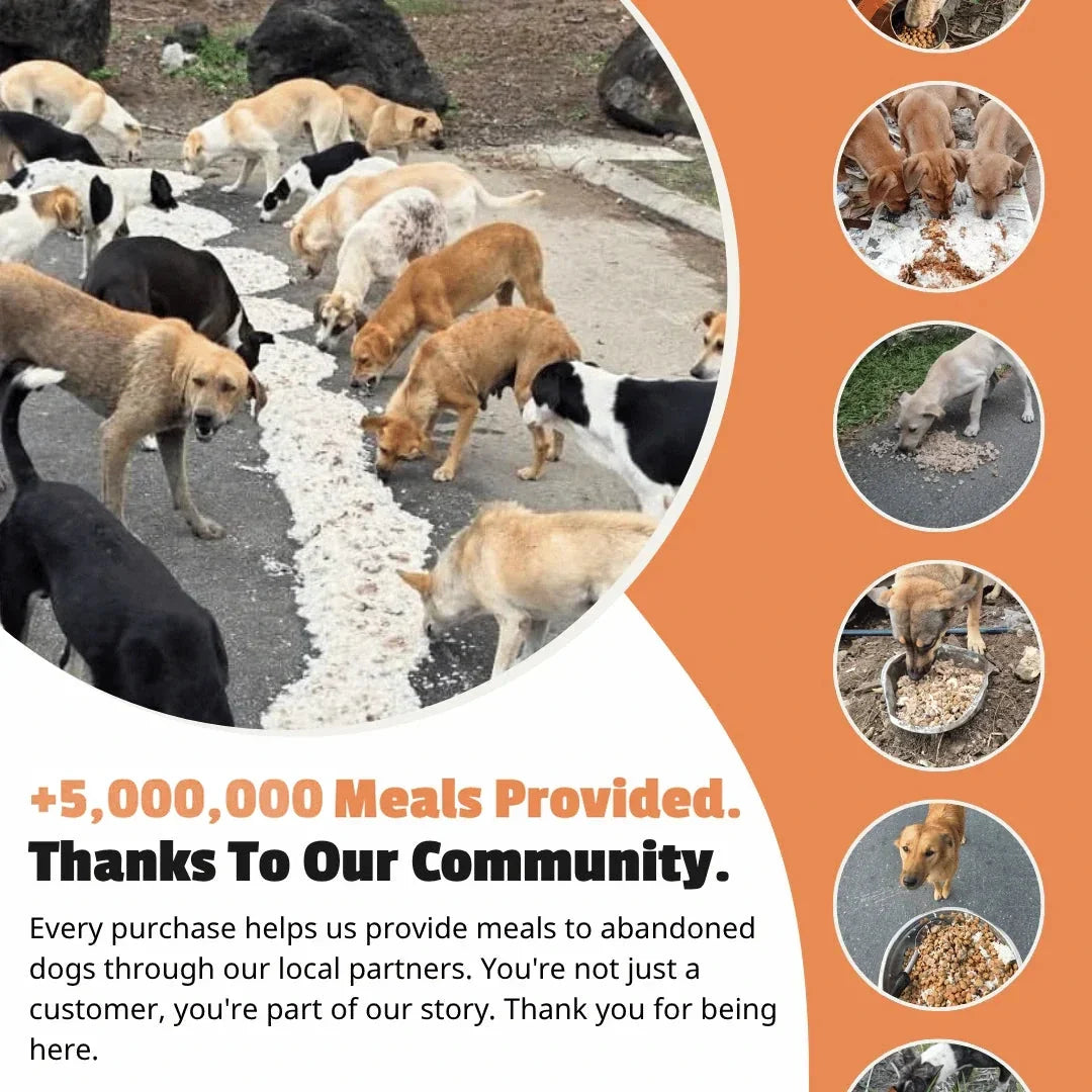 Midnight Bracelet